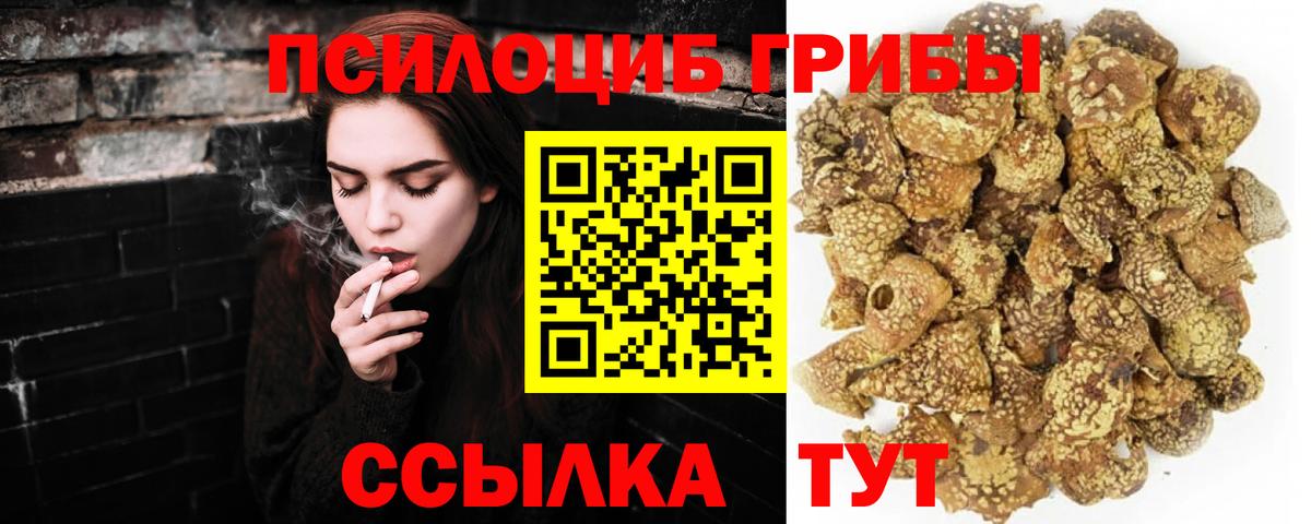 Павлово  Псилоцибиновые грибы мицелий  Вход с VPN 
